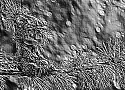 Skamielina