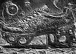 Skamielina