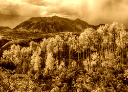 Sepia