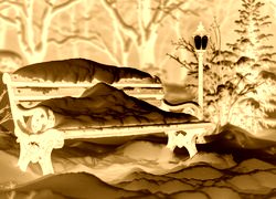 Sepia + Negatyw