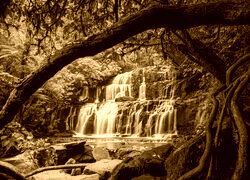 Sepia