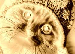 Sepia + Negatyw