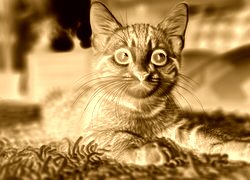 Sepia + Negatyw