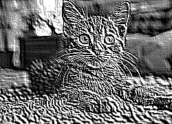 Skamielina