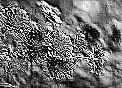 Skamielina