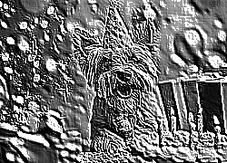 Skamielina