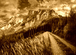 Sepia