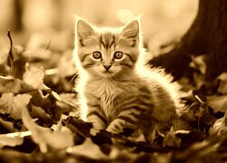 Sepia