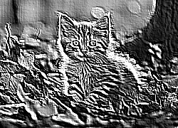 Skamielina