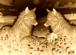 Sepia + Negatyw