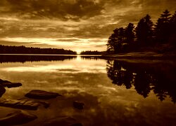 Sepia