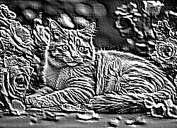 Skamielina