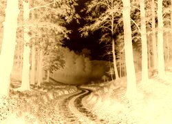 Sepia + Negatyw