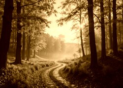 Sepia