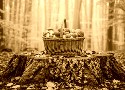 Sepia