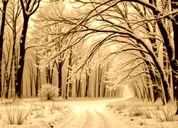 Sepia