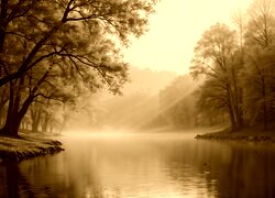 Sepia
