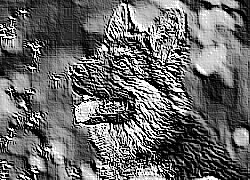 Skamielina