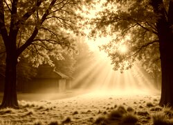Sepia