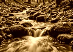 Sepia