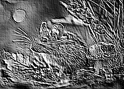 Skamielina