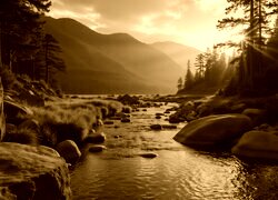 Sepia