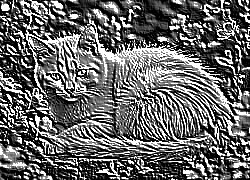 Skamielina