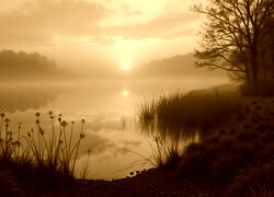 Sepia