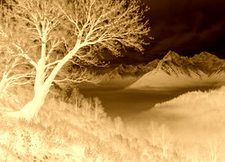 Sepia + Negatyw