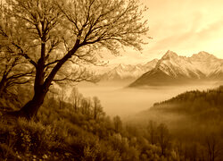 Sepia