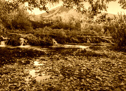 Sepia