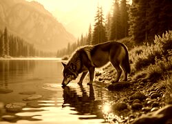 Sepia