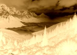 Sepia + Negatyw