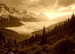 Sepia