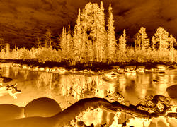 Sepia + Negatyw