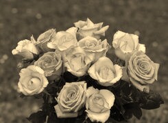 Szary + Sepia