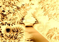 Sepia + Negatyw