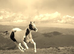 Sepia