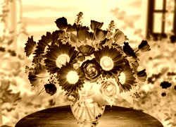 Sepia + Negatyw