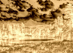 Sepia + Negatyw