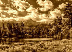 Sepia