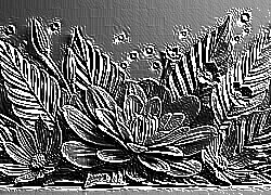 Skamielina