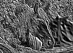 Skamielina