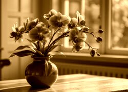 Sepia