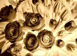 Sepia + Negatyw