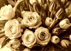 Sepia