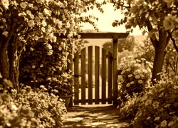 Sepia