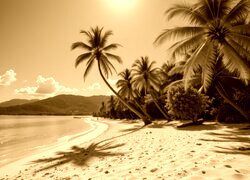 Sepia