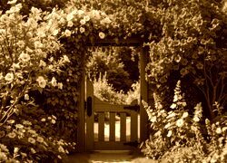 Sepia