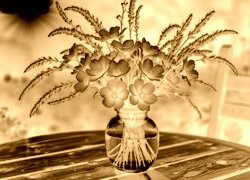 Sepia + Negatyw